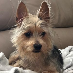 Meet your Posher, Bethany